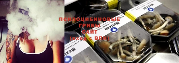эйфоретик Осташков