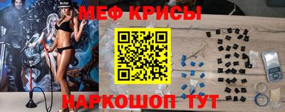 jwh Кингисепп