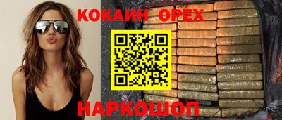 jwh Кингисепп