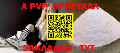 jwh Кингисепп
