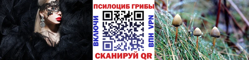 Галлюциногенные грибы Psilocybine cubensis Симферополь