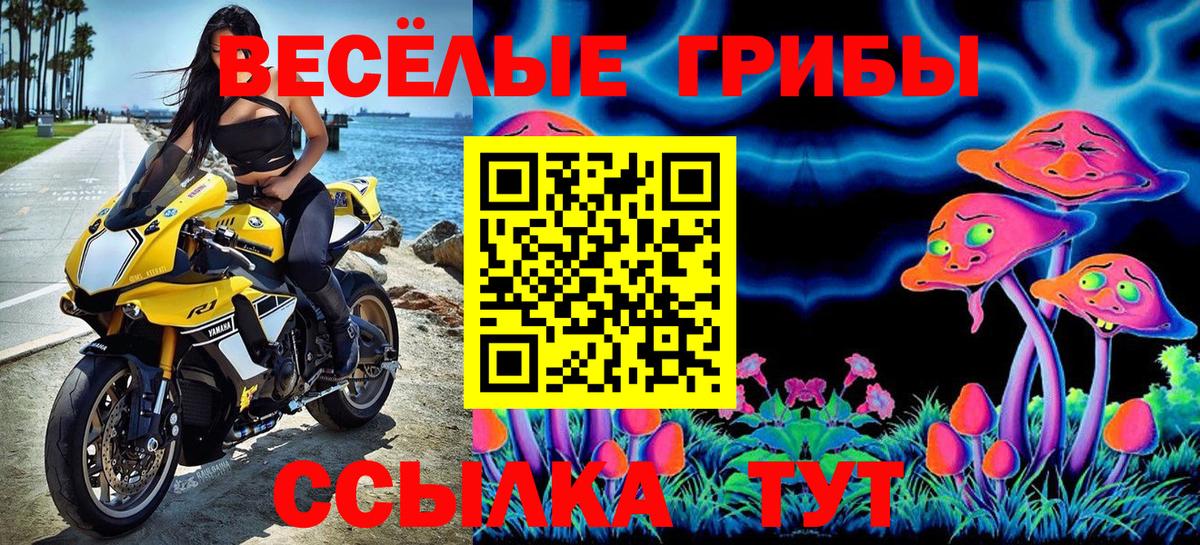 Псилоцибиновые грибы MAGIC MUSHROOMS  Псилоцибиновые грибы Cubensis  Вход с VPN  Симферополь 