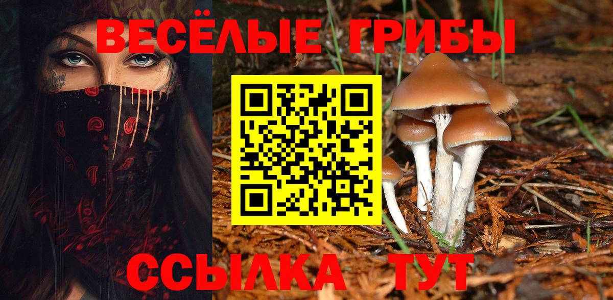 Псилоцибиновые грибы MAGIC MUSHROOMS Симферополь