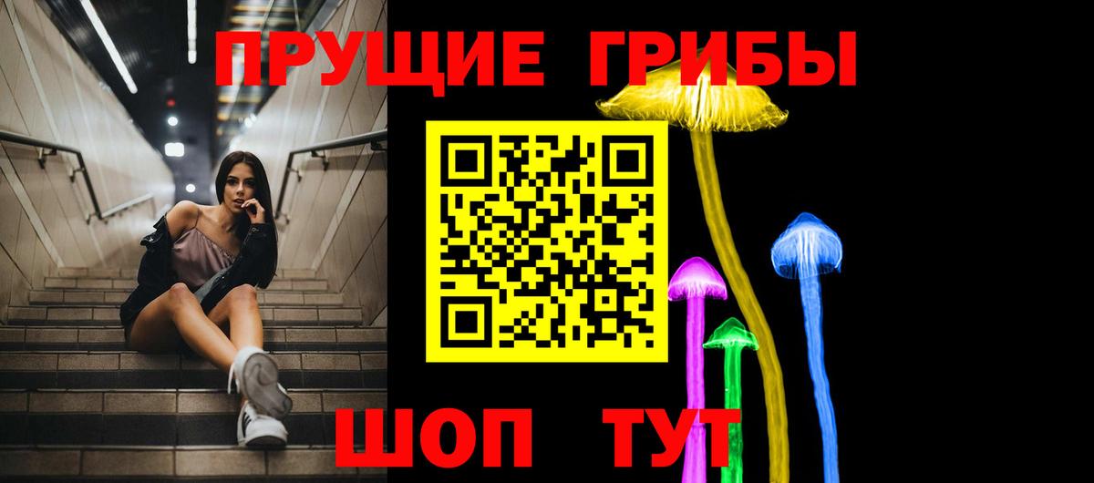 Псилоцибиновые грибы Psilocybine cubensis  Симферополь  Галлюциногенные грибы GOLDEN TEACHER 